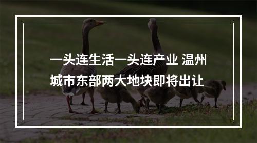 一头连生活一头连产业 温州城市东部两大地块即将出让