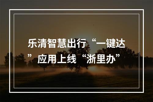 乐清智慧出行“一键达”应用上线“浙里办”