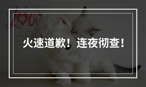 火速道歉！连夜彻查！