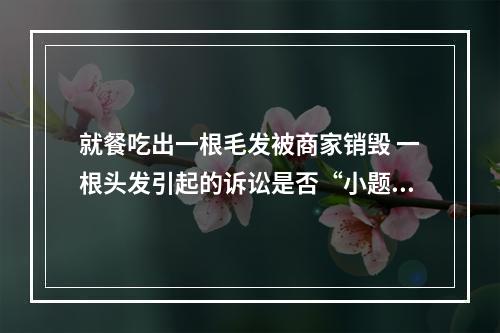 就餐吃出一根毛发被商家销毁 一根头发引起的诉讼是否“小题大做” 听听法官怎么说