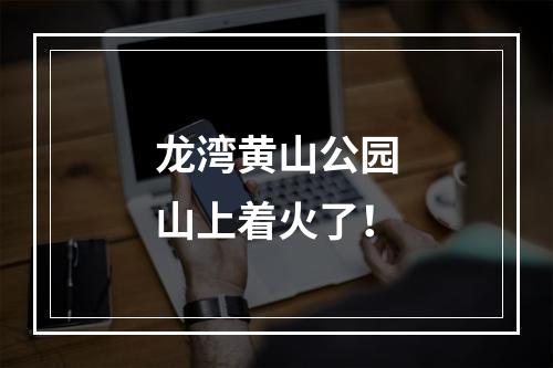 龙湾黄山公园山上着火了！