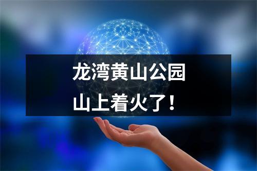 龙湾黄山公园山上着火了！
