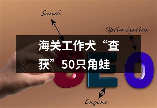 海关工作犬“查获”50只角蛙