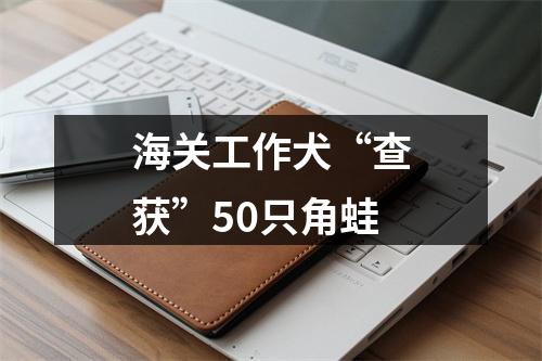 海关工作犬“查获”50只角蛙