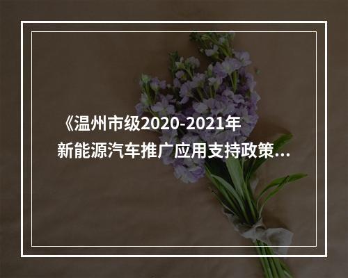 《温州市级2020-2021年新能源汽车推广应用支持政策》公开征求意见