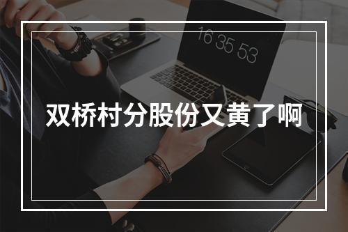 双桥村分股份又黄了啊