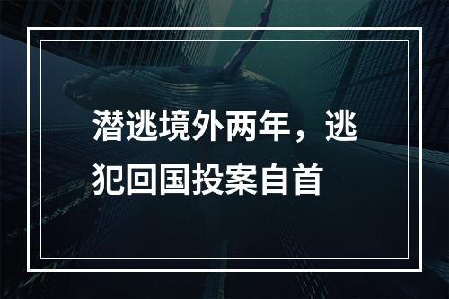 潜逃境外两年，逃犯回国投案自首