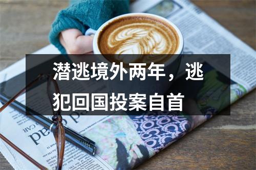 潜逃境外两年，逃犯回国投案自首