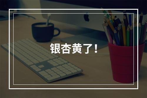 银杏黄了！