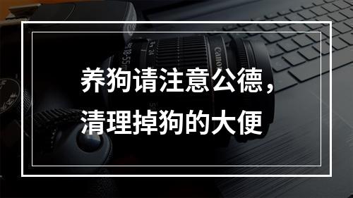 养狗请注意公德，清理掉狗的大便