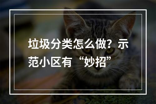 垃圾分类怎么做？示范小区有“妙招”