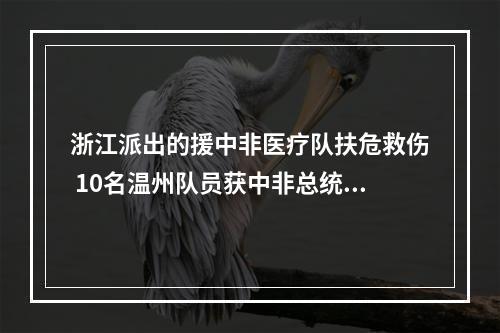 浙江派出的援中非医疗队扶危救伤 10名温州队员获中非总统授勋