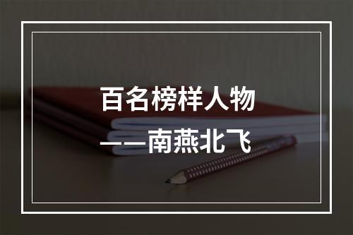百名榜样人物——南燕北飞