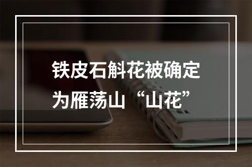 铁皮石斛花被确定为雁荡山“山花”