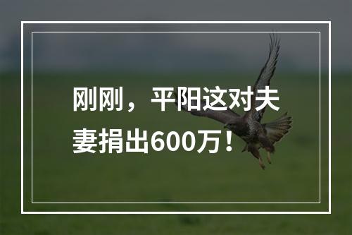 刚刚，平阳这对夫妻捐出600万！
