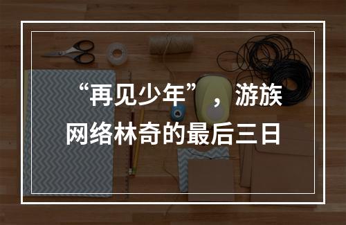 “再见少年”，游族网络林奇的最后三日