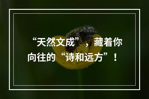“天然文成”，藏着你向往的“诗和远方”！