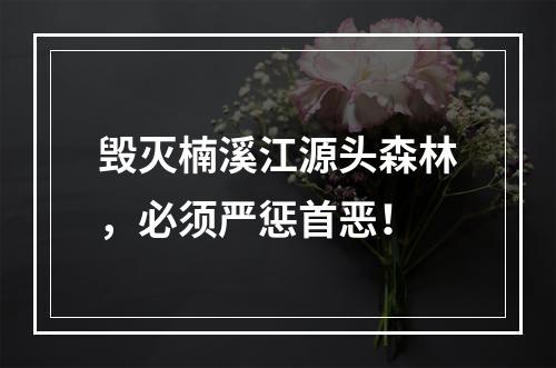 毁灭楠溪江源头森林，必须严惩首恶！