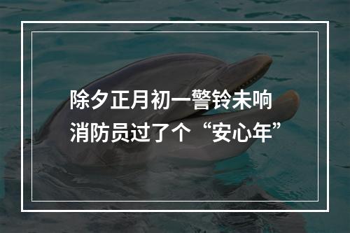 除夕正月初一警铃未响 消防员过了个“安心年”