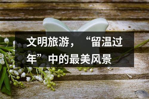 文明旅游，“留温过年”中的最美风景