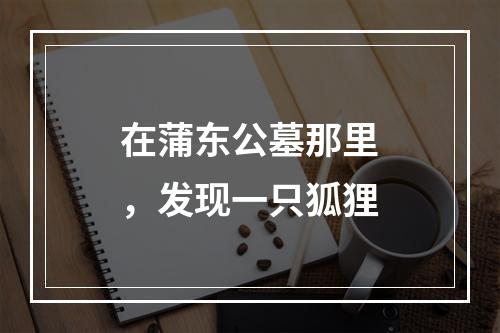在蒲东公墓那里，发现一只狐狸