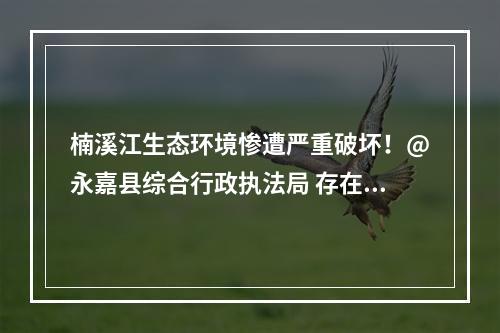 楠溪江生态环境惨遭严重破坏！@永嘉县综合行政执法局 存在严重渎职！楠溪江滩地音乐