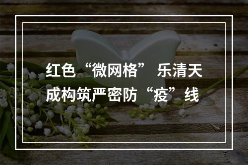 红色“微网格” 乐清天成构筑严密防“疫”线