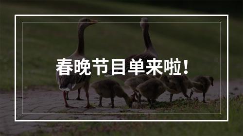 春晚节目单来啦！