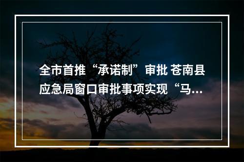 全市首推“承诺制”审批 苍南县应急局窗口审批事项实现“马上办”