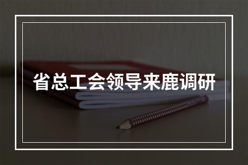 省总工会领导来鹿调研