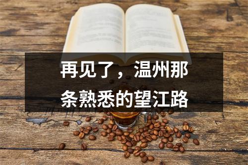 再见了，温州那条熟悉的望江路