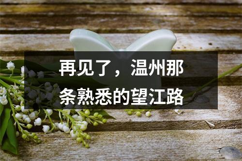 再见了，温州那条熟悉的望江路