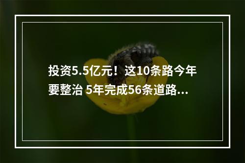 投资5.5亿元！这10条路今年要整治 5年完成56条道路综合整治