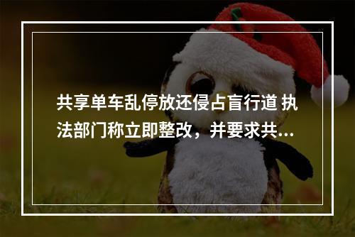 共享单车乱停放还侵占盲行道 执法部门称立即整改，并要求共享单车企业落实常态化清理