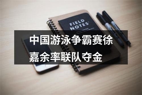 中国游泳争霸赛徐嘉余率联队夺金