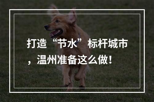 打造“节水”标杆城市，温州准备这么做！