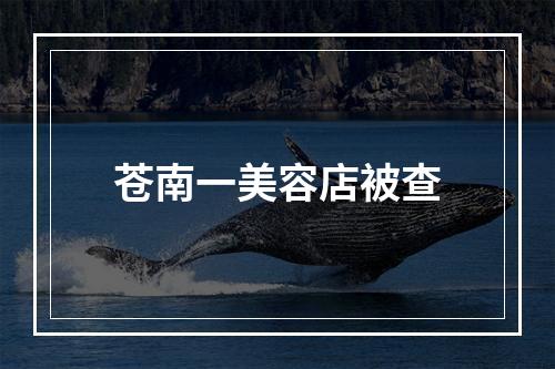 苍南一美容店被查