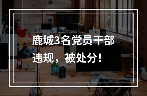 鹿城3名党员干部违规，被处分！
