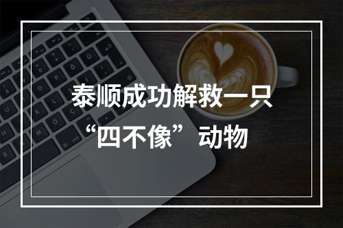 泰顺成功解救一只“四不像”动物