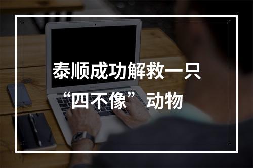 泰顺成功解救一只“四不像”动物