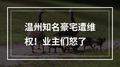 温州知名豪宅遭维权！业主们怒了