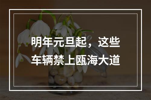 明年元旦起，这些车辆禁上瓯海大道