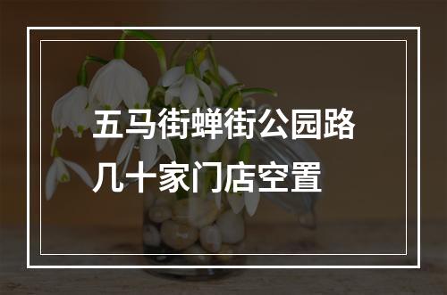 五马街蝉街公园路几十家门店空置