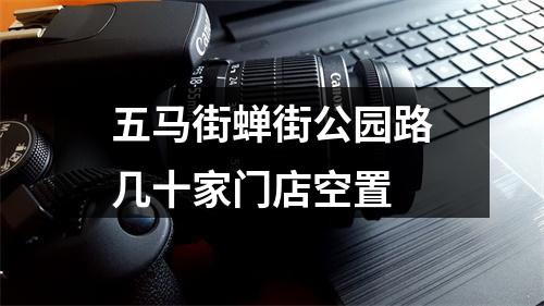 五马街蝉街公园路几十家门店空置