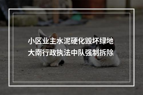 小区业主水泥硬化毁坏绿地 大南行政执法中队强制拆除