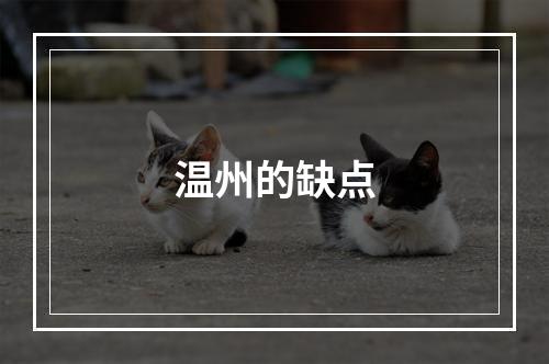 温州的缺点