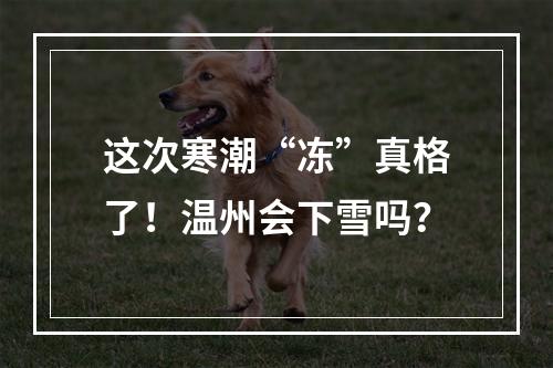 这次寒潮“冻”真格了！温州会下雪吗？