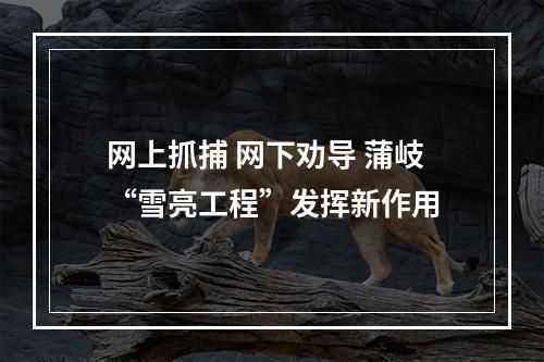 网上抓捕 网下劝导 蒲岐“雪亮工程”发挥新作用