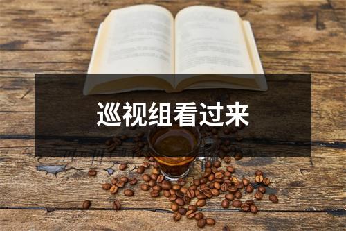 巡视组看过来