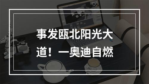 事发瓯北阳光大道！一奥迪自燃